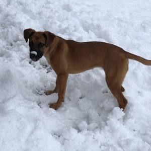 Meet your Posher, Clara